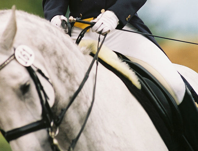 Engel Deluxe Sheepskin Dressage Numnah Saddle Pad with Pommel Cantle Roll and Partial Lining - 3320D