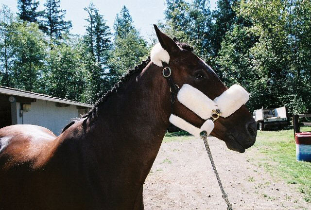9 Piece Sheepskin Halter Cover Set
