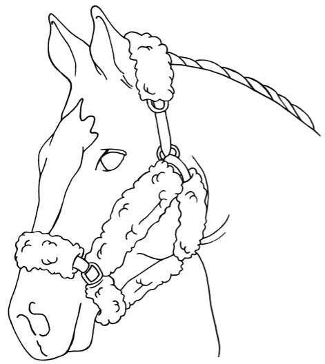 9 Piece Sheepskin Halter Cover Set