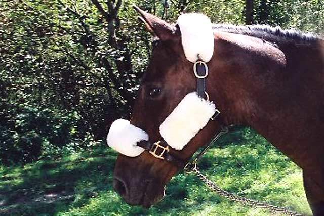Sheepskin Bridle Cover Set – Poll, Nose, and Cheek Straps