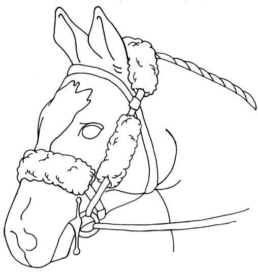 Sheepskin Bridle Cover Set – Poll, Nose, and Cheek Straps