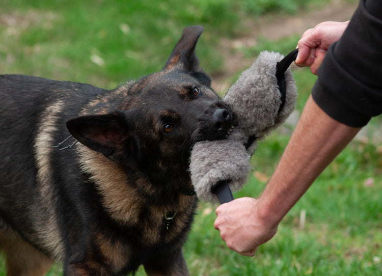 Sturdy Sheepskin Dog Tug with Handles and Replaceable Squeaker Pocket - Interactive Training & Motivation Toy