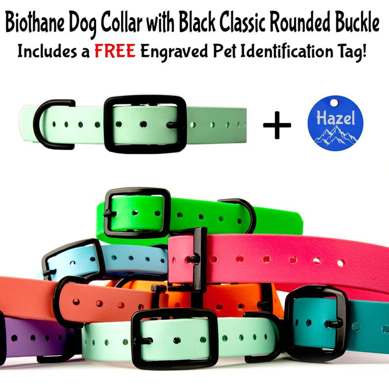 Biothane Cat/Dog Collar with Black Classic Rounded Buckle - Comes with a Free Custom Engraved Pet ID Tag - Waterproof, Durable and Easy to Clean