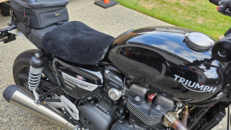 Sheepskin Buttpad® Motorcycle Seat Cover for the BMW R1250 GS by Alaska Leather