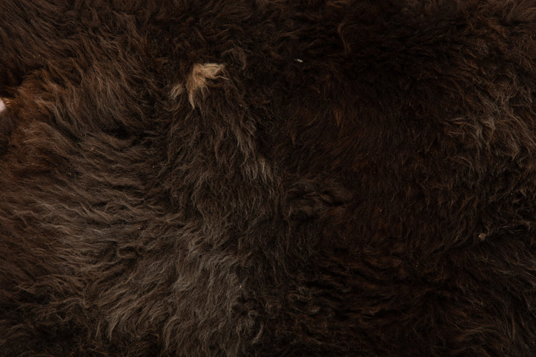 Giant American Sheepskin Hide - Lazy M - Long-Hair Bark-Tanned Pelt, Rustic Lodge Style, USA-Sourced Natural Wool -LWB 15233