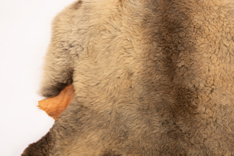 Giant American Sheepskin Hide - Lazy M - Long-Hair Bark-Tanned Pelt, Rustic Lodge Style, USA-Sourced Natural Wool -LWB 15232