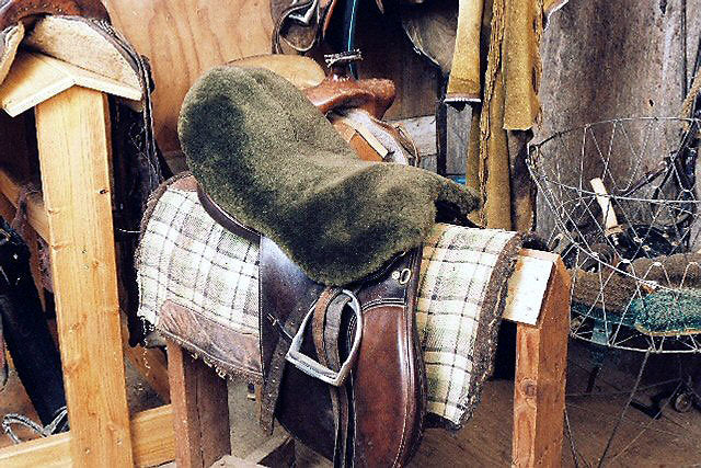 Deluxe Sheepskin All-Purpose / Dressage Saddle Seat Cover 3350