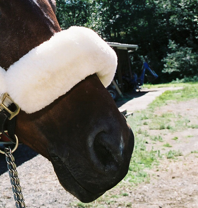 Sheepskin Halter Nose Strap Cover