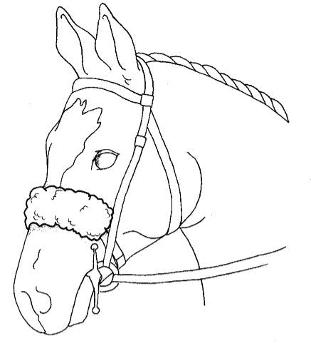 Sheepskin Halter Nose Strap Cover