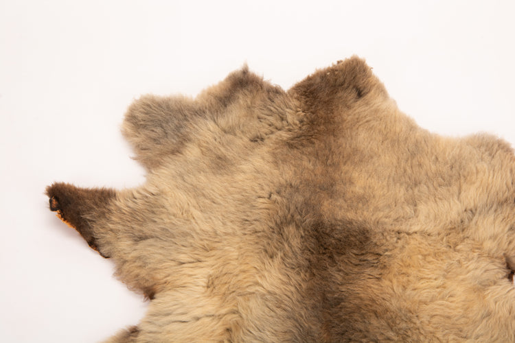 Giant American Sheepskin Hide - Lazy M - Long-Hair Bark-Tanned Pelt, Rustic Lodge Style, USA-Sourced Natural Wool -LWB 15232