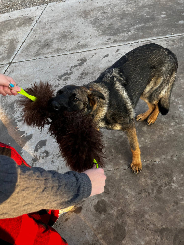 Soft Bite Dog Toy