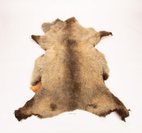 Giant American Sheepskin Hide - Lazy M - Long-Hair Bark-Tanned Pelt, Rustic Lodge Style, USA-Sourced Natural Wool -LWB 15232