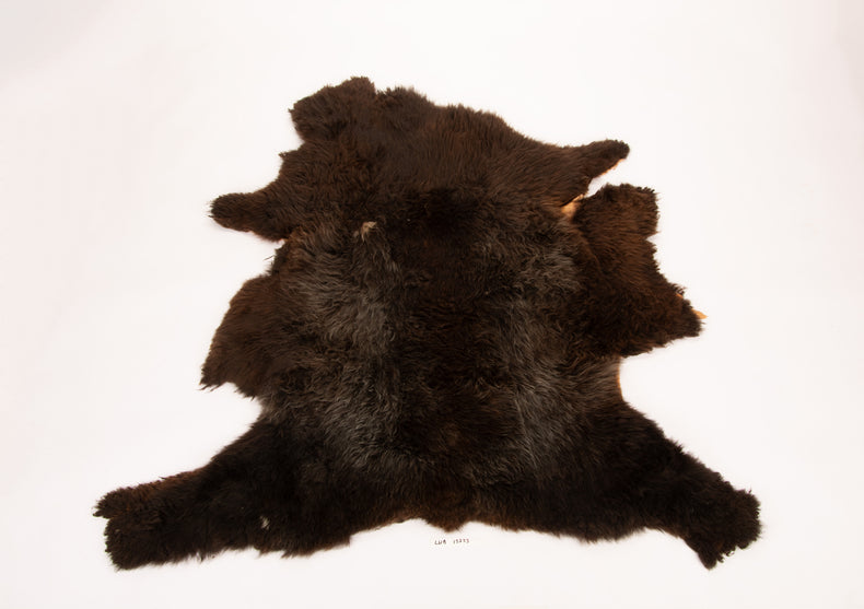 Giant American Sheepskin Hide - Lazy M - Long-Hair Bark-Tanned Pelt, Rustic Lodge Style, USA-Sourced Natural Wool -LWB 15233