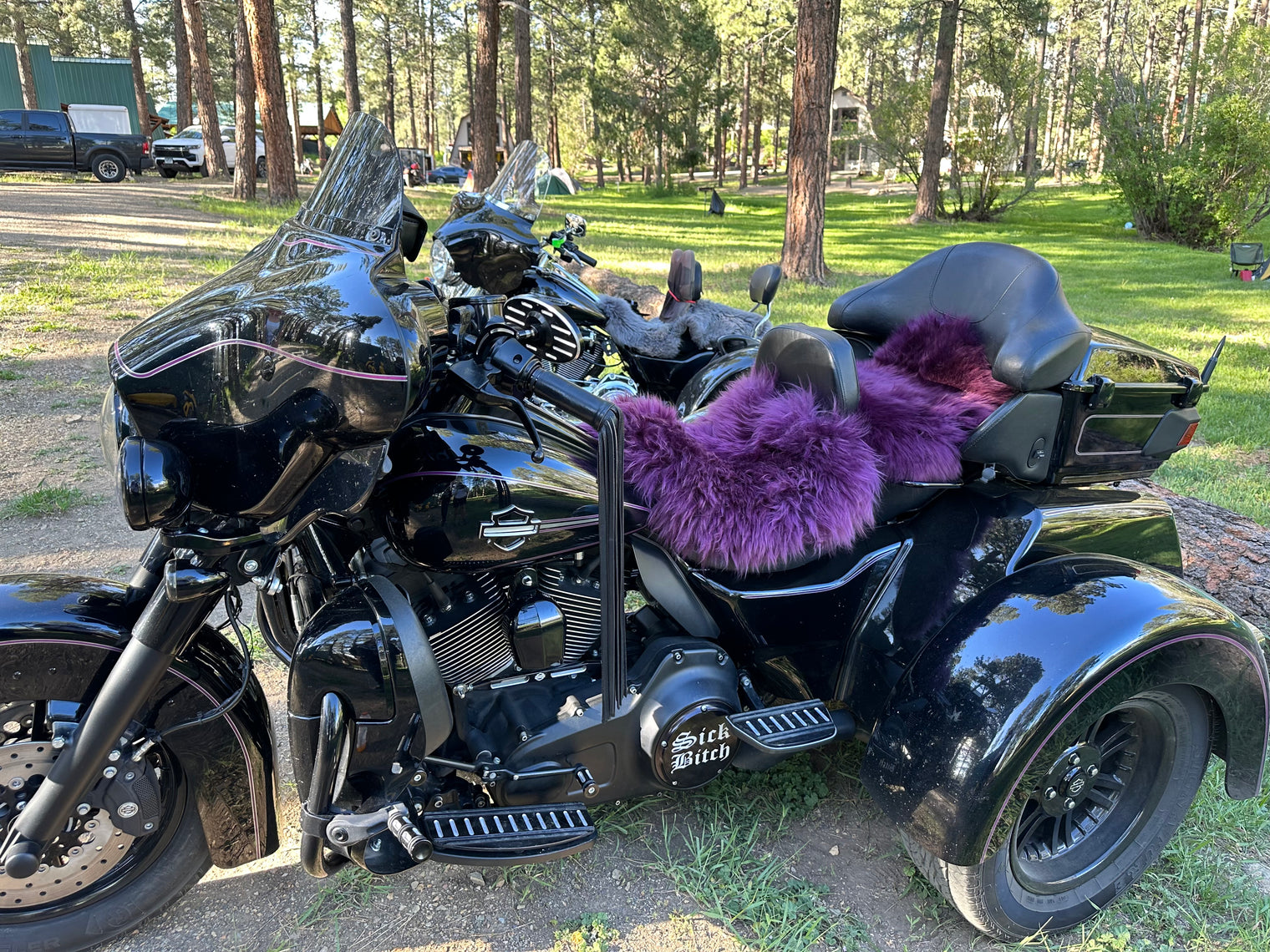 X-Large Sheepskin Buttpad®