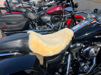X-Large Sheepskin Buttpad®