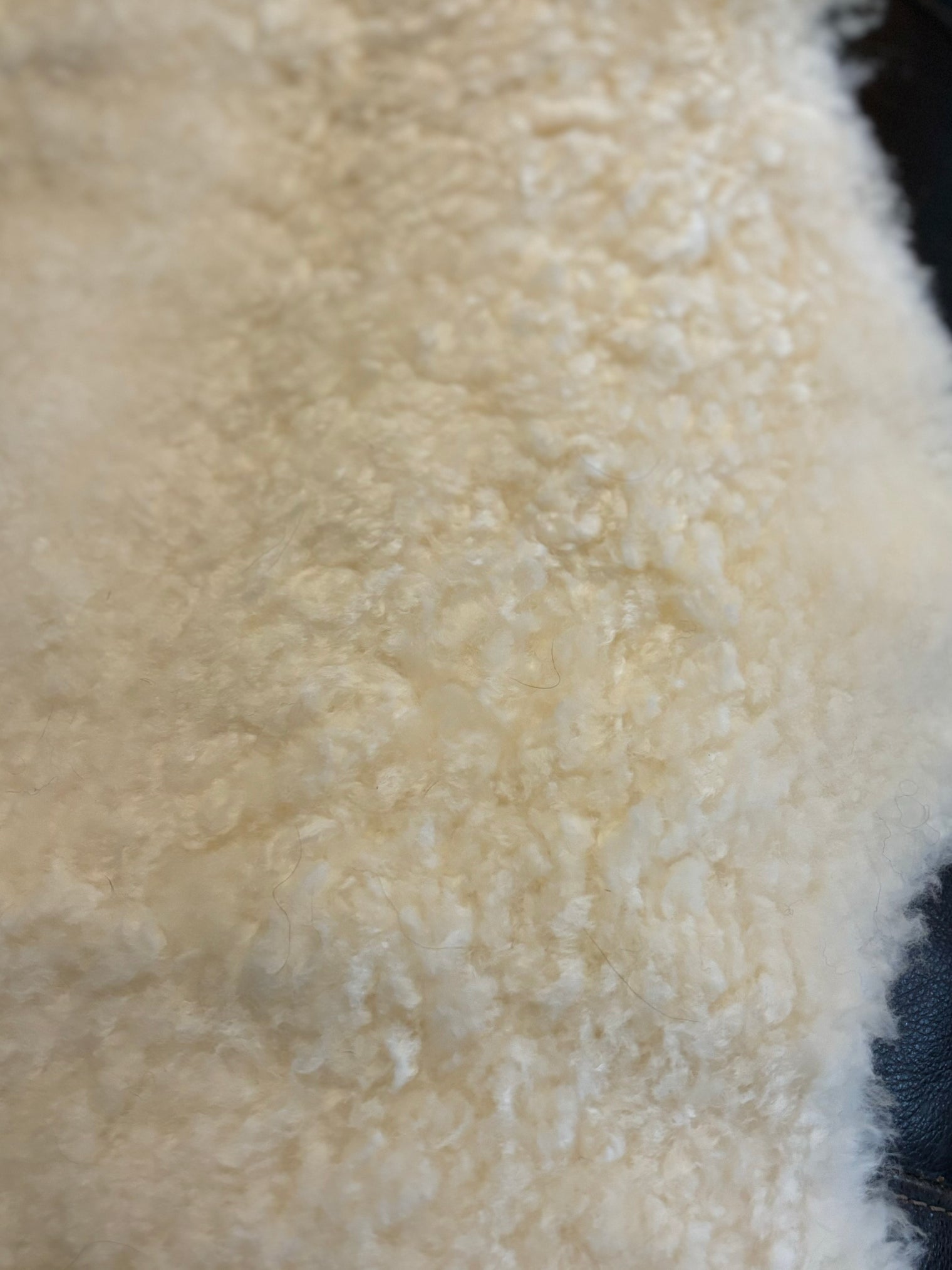 SALE! Sheared Sheepskin Hide
