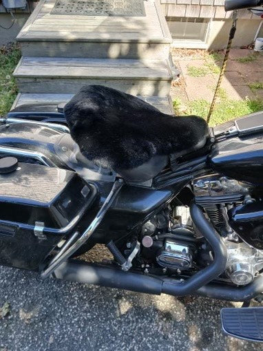HD Police Solo/Large Tractor Style Sheepskin Buttpad®