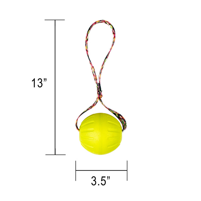 Virtually Indestructible Foam Fetch Dog Ball with Heavy-Duty Tug Handle - Large 13"x3.5" Neon Flowers