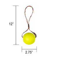 Virtually Indestructible Foam Fetch Dog Ball with Heavy-Duty Tug Handle - Medium 12"x2.75" Neon Flowers