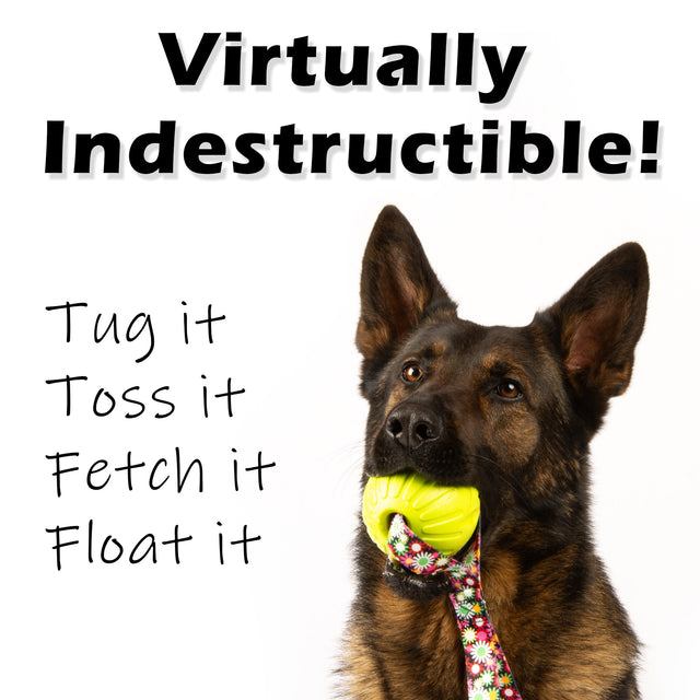 Virtually Indestructible Foam Fetch Dog Ball with Heavy-Duty Tug Handle - Medium 12"x2.75" Neon Flowers