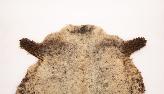 Giant American Sheepskin Hide - Lazy M - Long-Hair Bark-Tanned Pelt, Rustic Lodge Style, USA-Sourced Natural Wool -LWB 15235