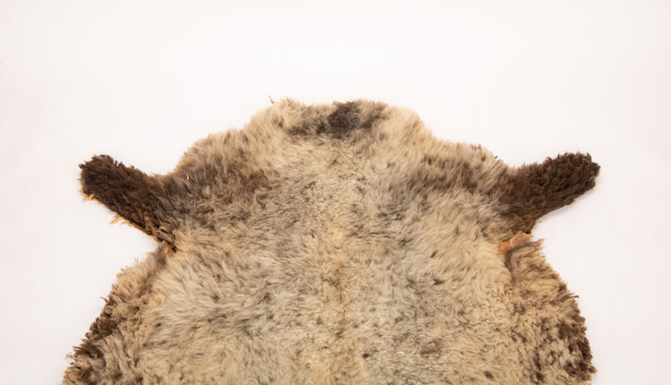 Giant American Sheepskin Hide - Lazy M - Long-Hair Bark-Tanned Pelt, Rustic Lodge Style, USA-Sourced Natural Wool -LWB 15235