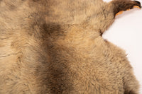 Giant American Sheepskin Hide - Lazy M - Long-Hair Bark-Tanned Pelt, Rustic Lodge Style, USA-Sourced Natural Wool -LWB 15232