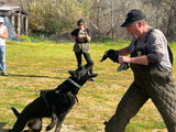 Leather Bite Rag for Dogs or Puppies- Colors Vary