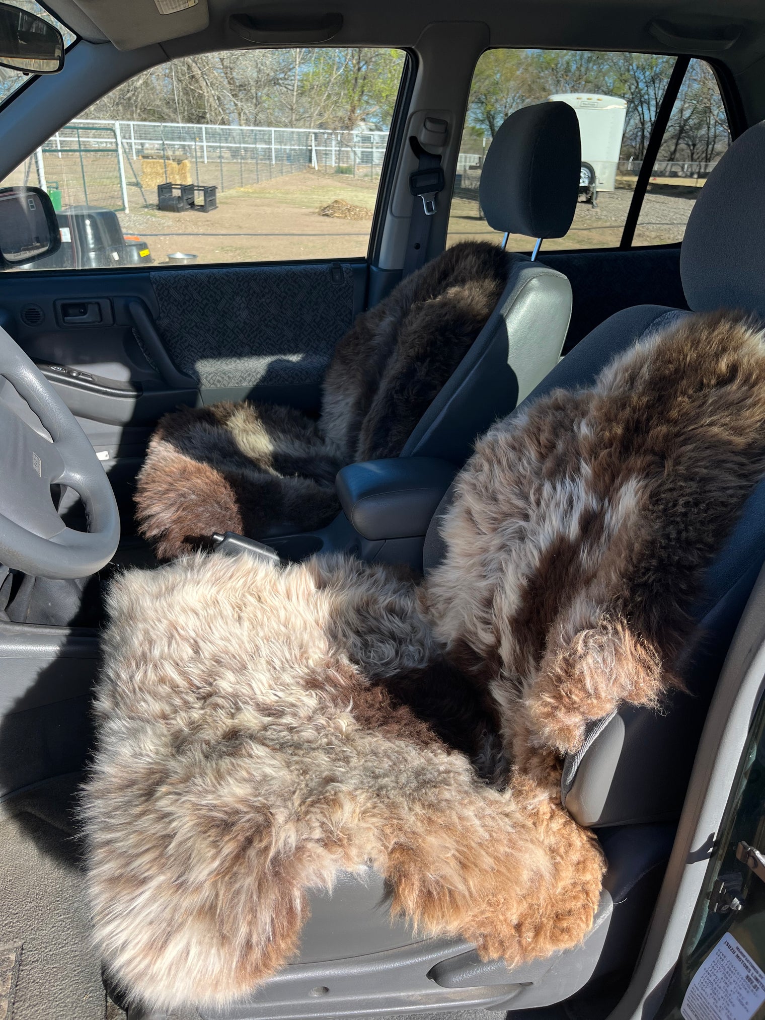 Full Pelt without Straps Sheepskin Buttpad™