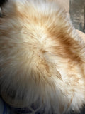 Pillion 5 Sheepskin Buttpad™