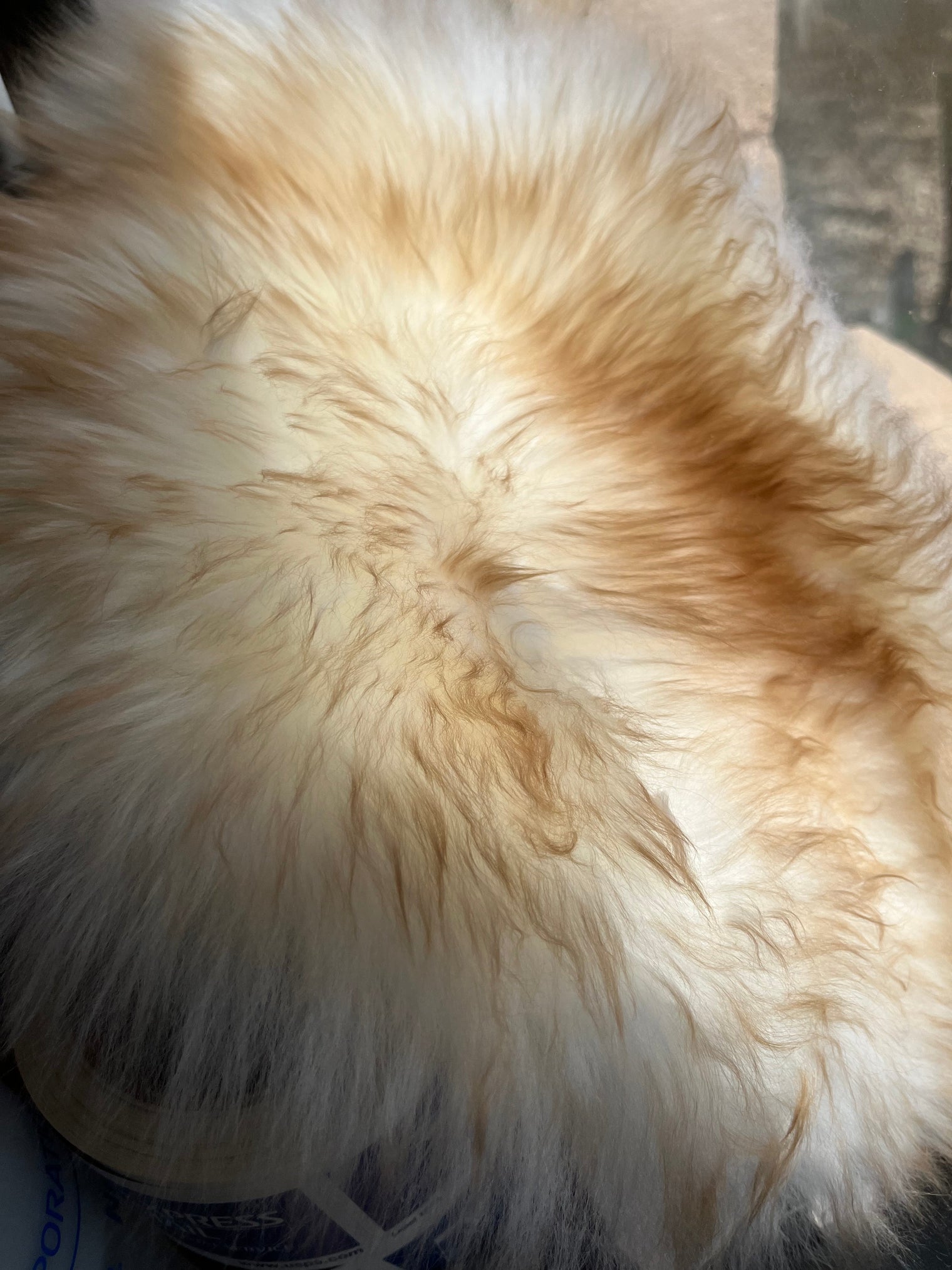 Russell Standard Sheepskin Buttpad®