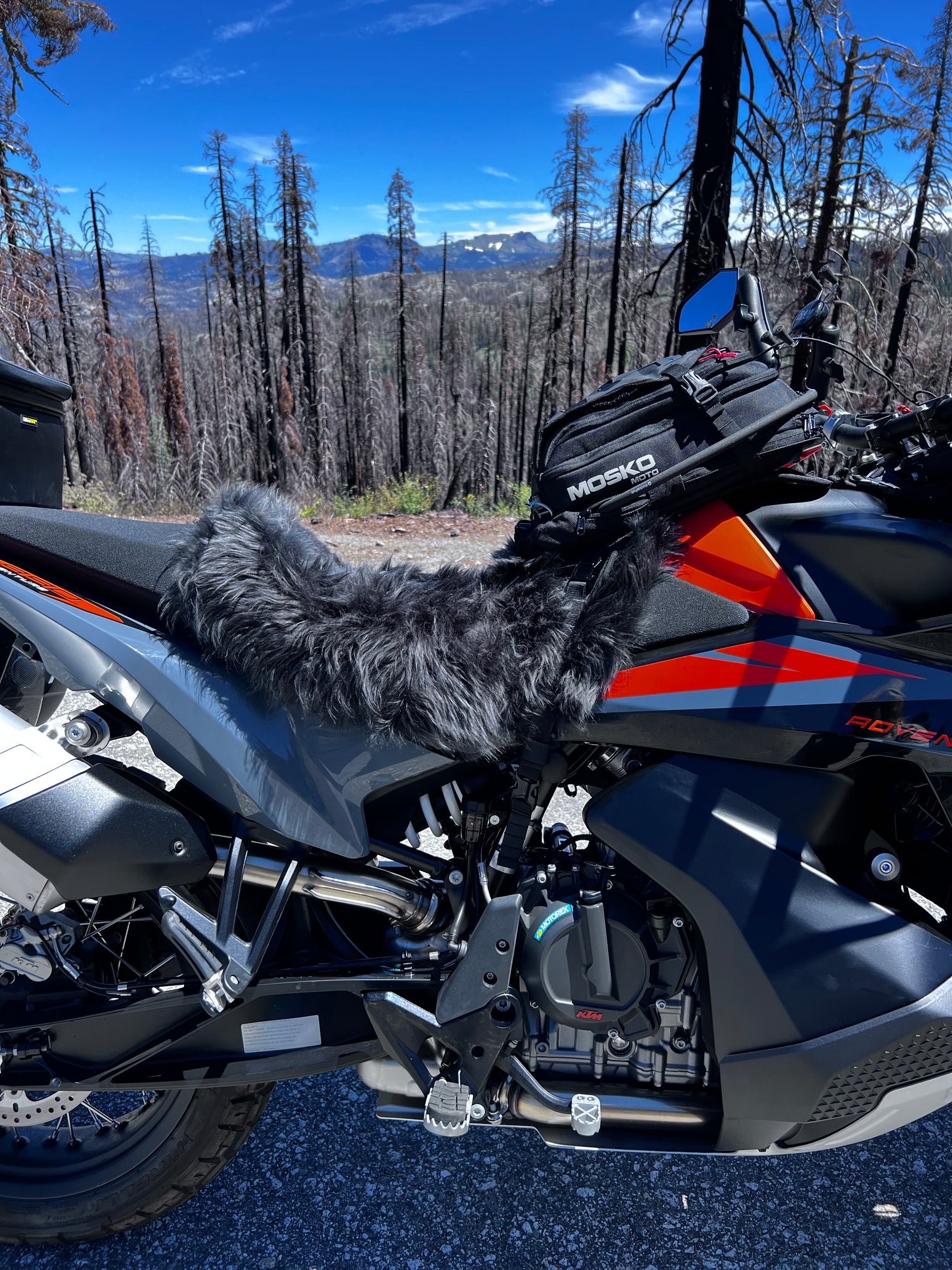 Dualsport Sheepskin Buttpad™