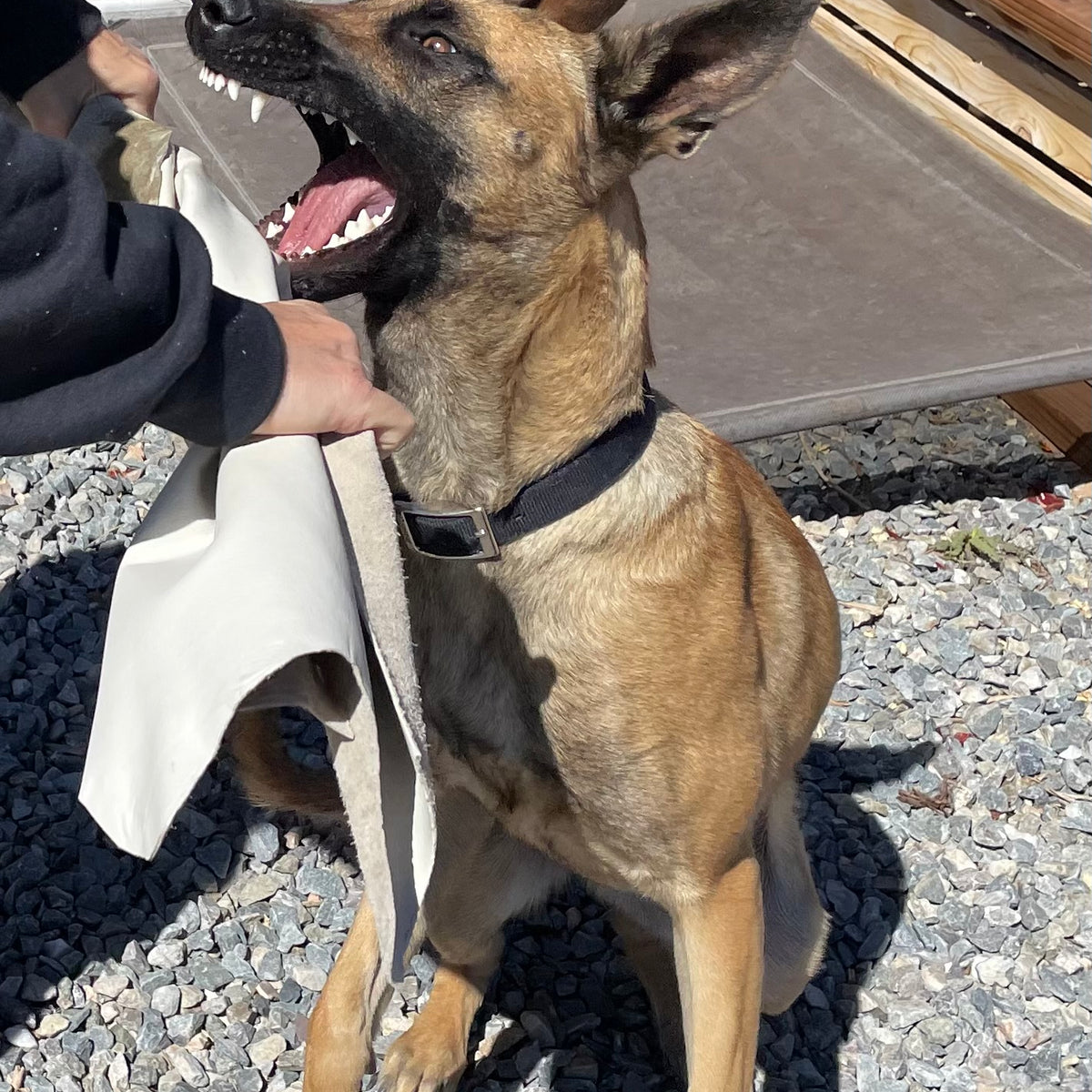 Leather Bite Rag for Dogs or Puppies - Black – Alaska Leather