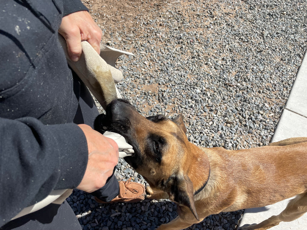 Syn Bite Rag Leather Bite Rag for Dogs or Puppies- Colors Vary – Alaska Leather