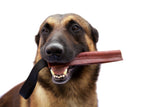 Sturdy Leather Dog Tug